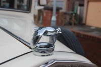 Belles and Beaus of Wirral   Vintage Wedding Cars and Official Event Hire 1064927 Image 6